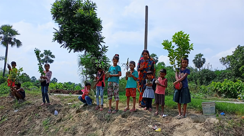 Environment & Tree Plantation